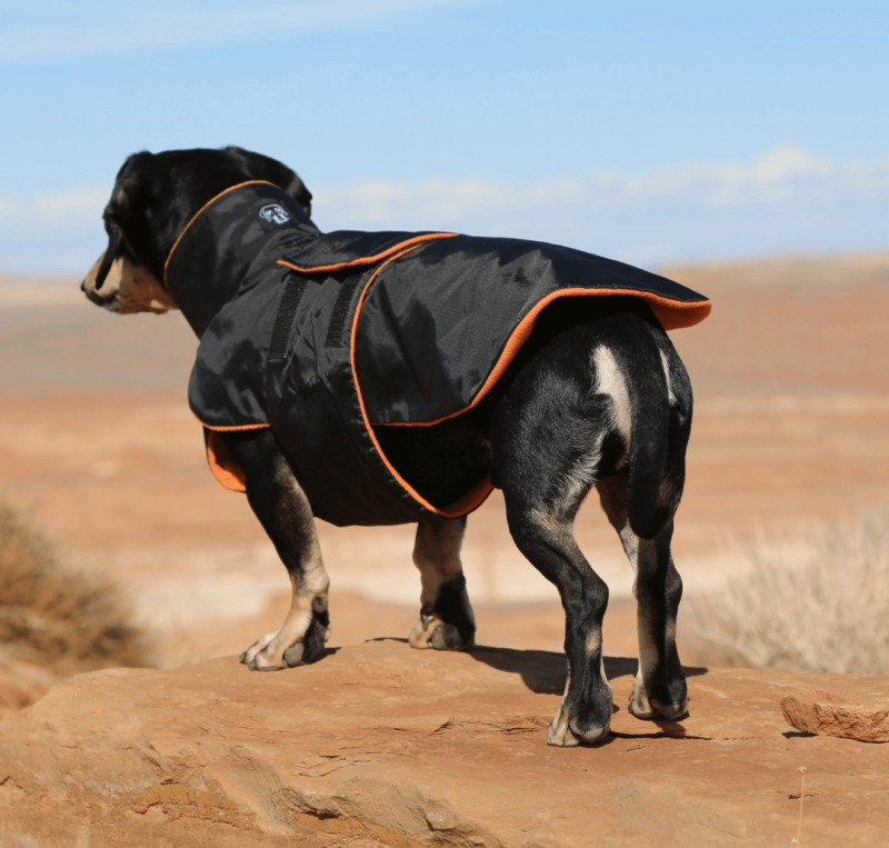 Black Anorak with Orange Fleece Lining - Image 3