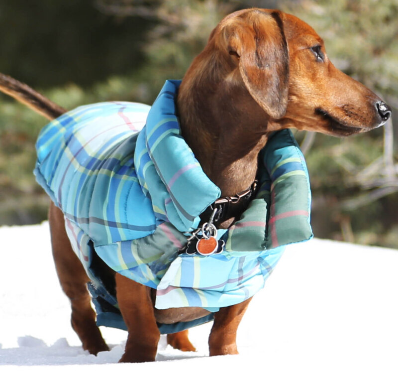 Turquoise, Blue & Green Plaid Puffer Jacket - Image 3