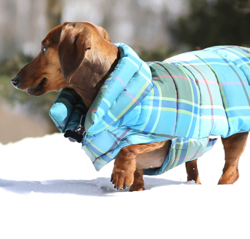 Turquoise, Blue & Green Plaid Puffer Jacket - Image 4