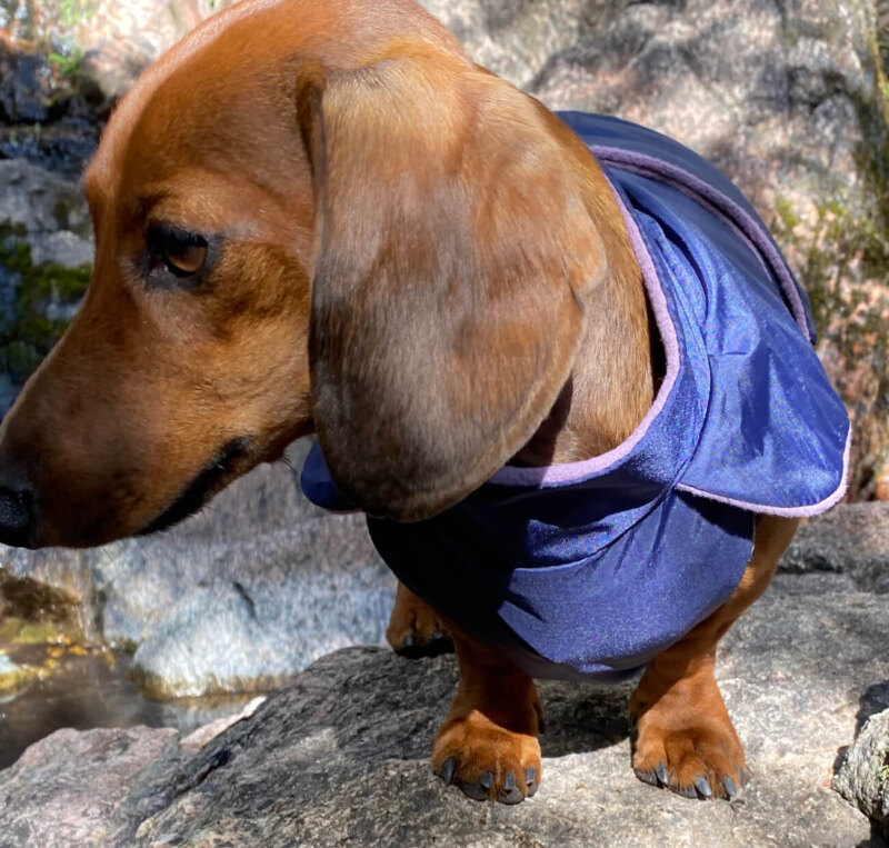 Navy Blue Anorak with Lavender Fleece - Image 5