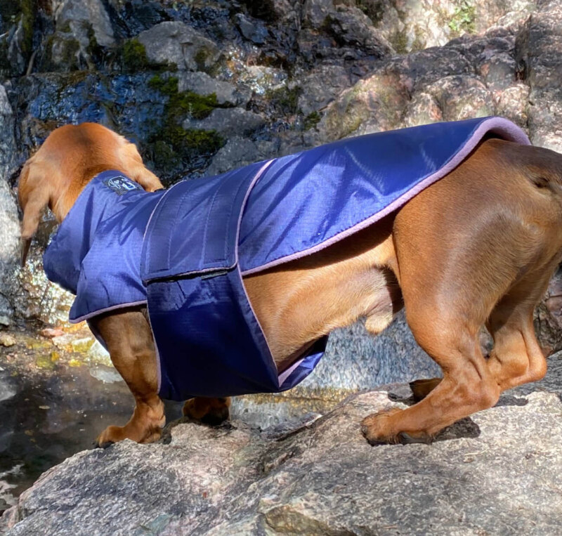 Navy Blue Anorak with Lavender Fleece - Image 3